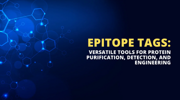 Find breakthroughs in your protein research with Epitope Tags