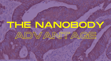 Small Size, Big Impact: Uncovering the Advantages of Nanobodies