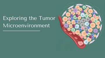 Intricacies of the Tumor Microenvironment: A Paradigm Shift in Cancer Research