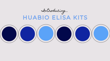 Why Should You Use HUABIO ELISA Kits in Your Lab?