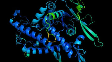 Breakthrough: DeepMind’s AlphaFold Accurately Predicts the Structure of Proteins
